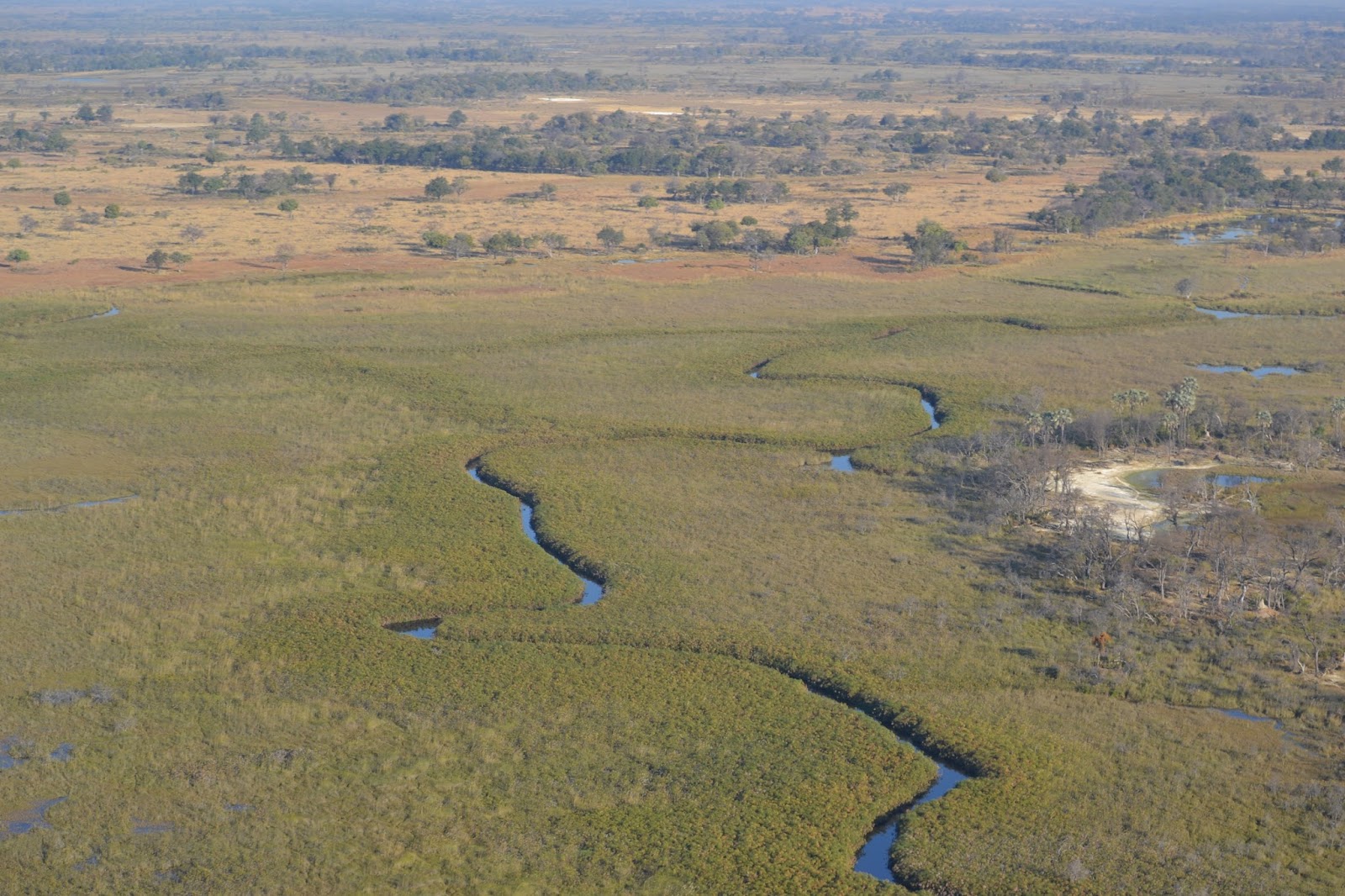 Día 3: De Ghanzi a Maun y Sobrevuelo por el Delta del Okavango - Botswana y Cataratas Victoria. Viaje por libre de 19 dias (3)
