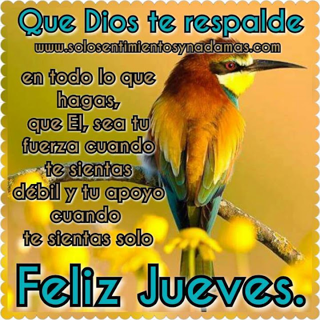 Feliz jueves.