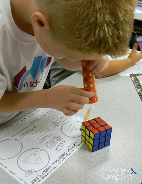 Butterfly science activity~ simulating a compound eye