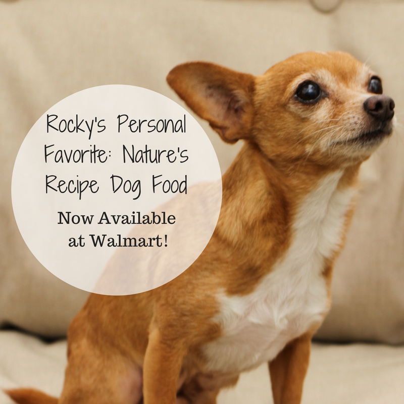 walmart nature's recipe puppy