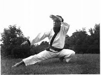 Traditional Taekwondo Ramblings Hwang Kee and his innovations
