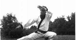 Traditional Taekwondo Ramblings: Hwang Kee and his innovations