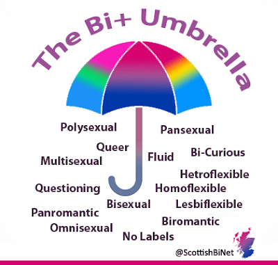 Graphic of the Bi Plus Umbrella including terms Polysexual, Pansexual, Queer, Fluid, Bi-curious, Multisexual, Questioning, Hetroflexible, Homoflexible, Lesbiflexible, Panromantic, Bisexual, Biromantic, Omnisexual and No Labels