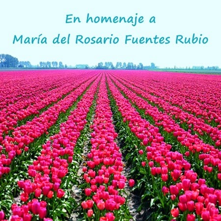 María del Rosario Fuentes Rubio  Homenaje