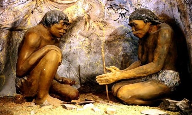 Lengkap Jenis Jenis Manusia Purba Yang Ditemukan Di Indonesia Asal Usul Sejarah Lengkap Jenis Jenis Manusia Purba Yang Ditemukan Di Indonesia Asal Usul Sejarah