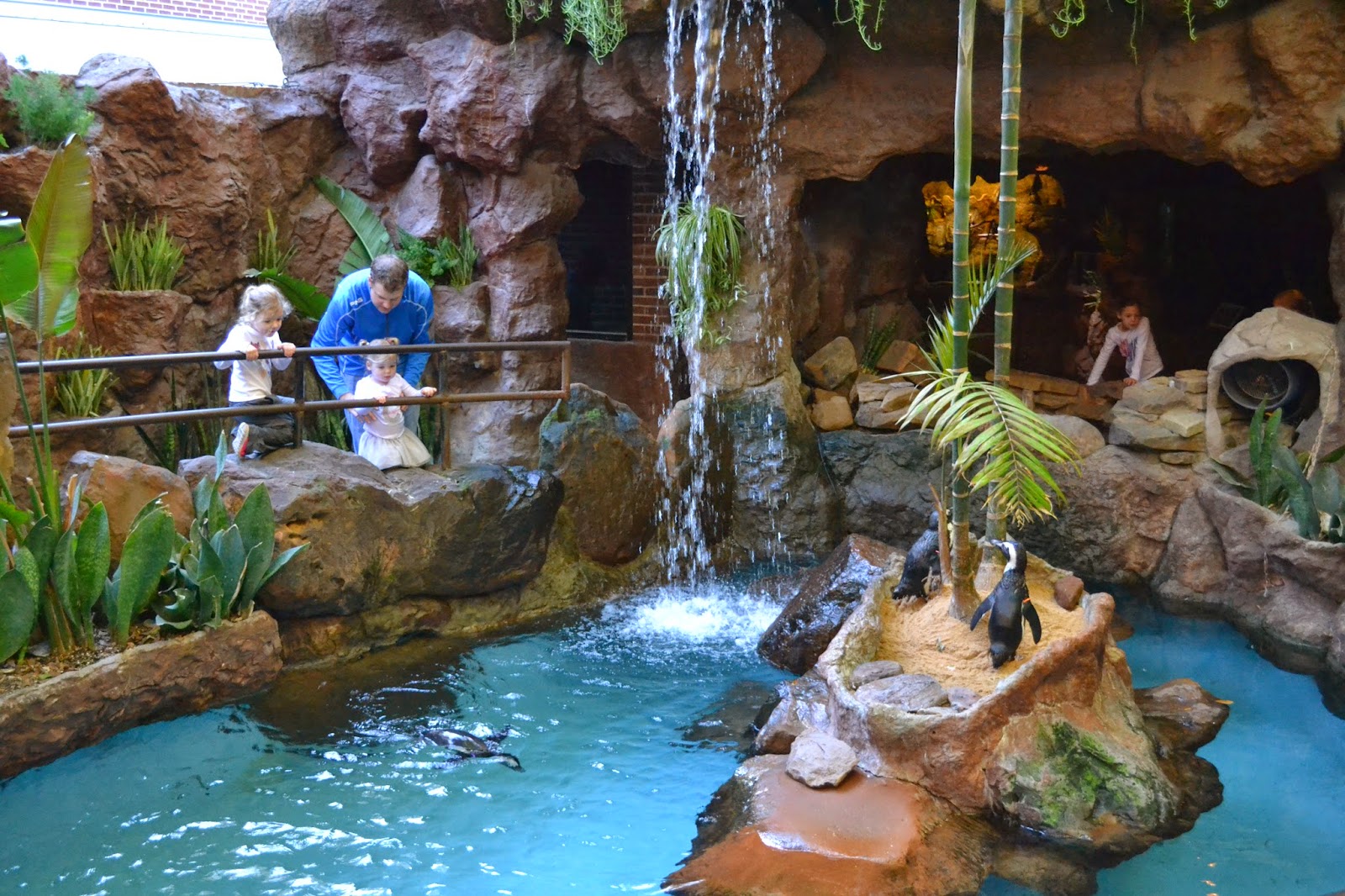 The Hamilton Highlights Dallas World Aquarium