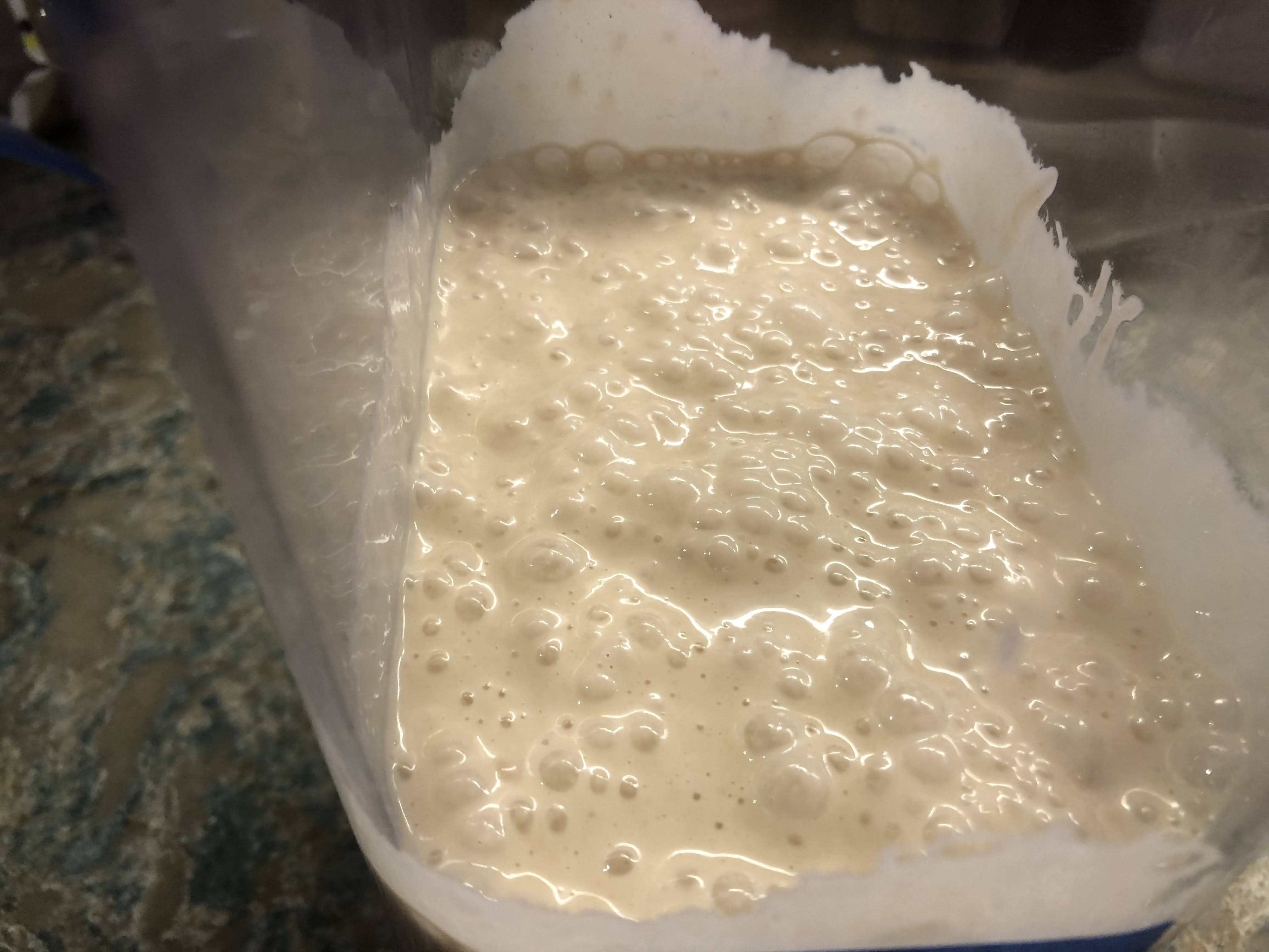 Sourdough starter ala Paul Hollywood
