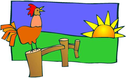 17+ Istimewa Gambar Ayam Berkokok Kartun