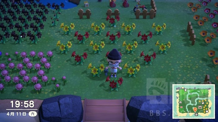 集合啦 動物森友會 (Animal Crossing:New Horizons) 花卉雜交選種與圈地規劃解說