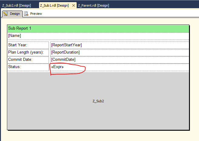 PROPER PARAMETER REFERENCE IN NESTED SUBREPORT visual data 6