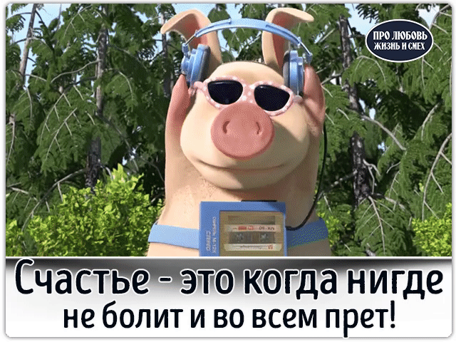 Свинья в коляске