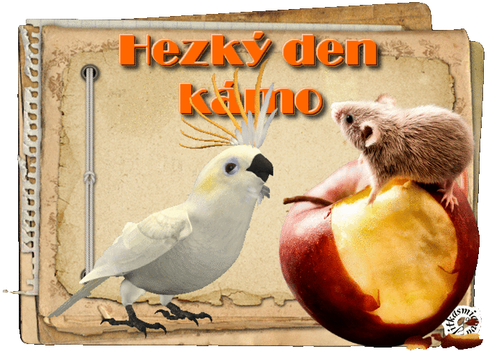 kamo1.gif%20%20a%20href=