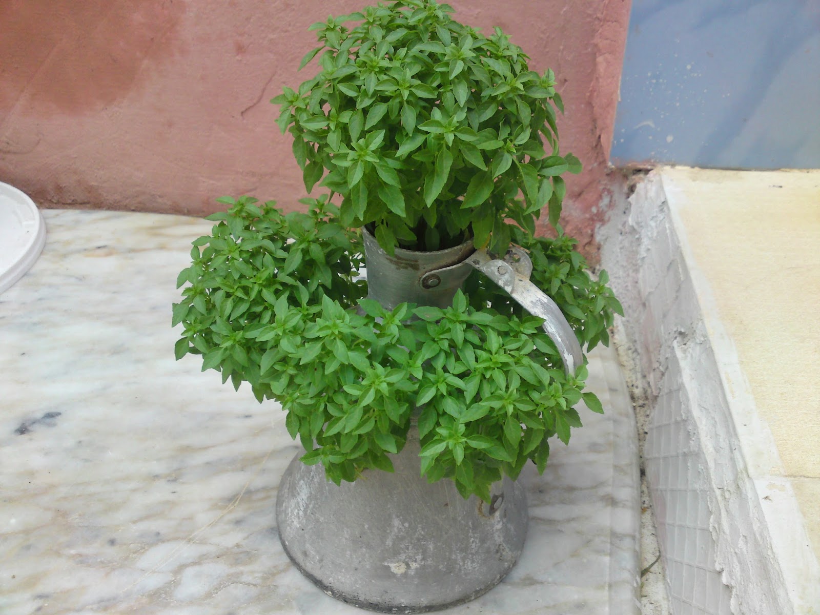 PEYZAJ MİMARI YAZIYOR PEYZAJ MİMARININ ÖĞRENCİLİK YILLARINDAN