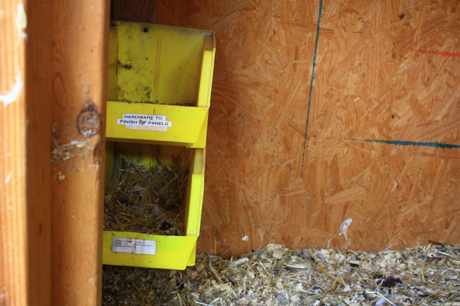 Cleaning the Chicken Coop