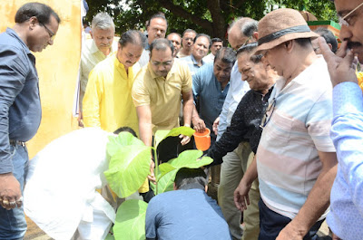 डीएम ने की वृक्षारोपण का शुभारंभ