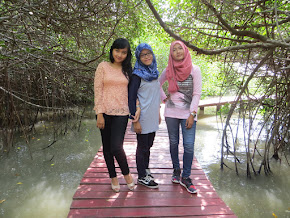 mangrove merah, rembang