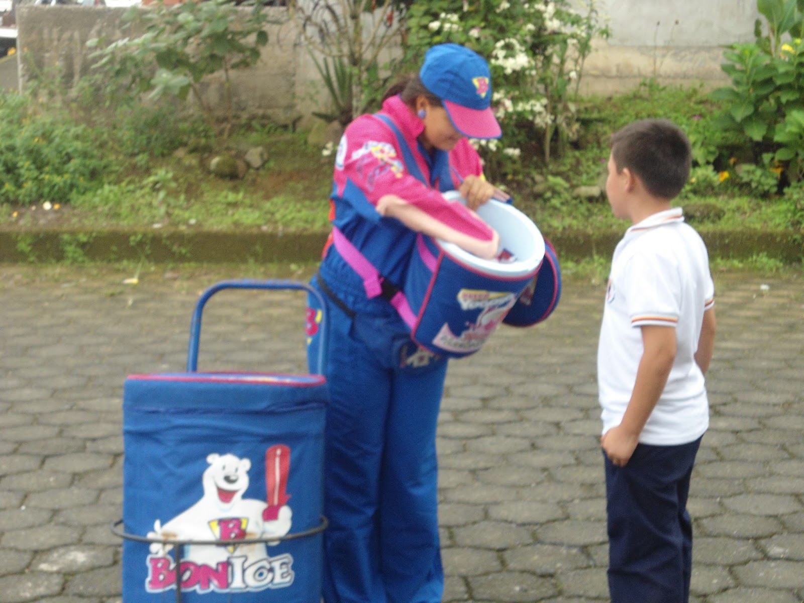 micro empresa bonice