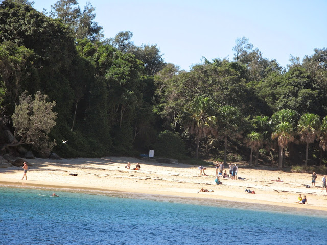 Manly Shelly beach @ in-all-places