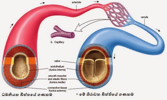 kullo peripheral artery disease kullo peripheral artery disease