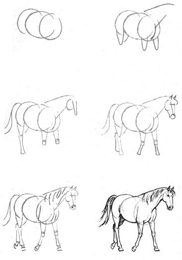Corso di grafica e disegno per imparare a disegnare for Immagini di cavalli da disegnare