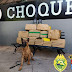 Em Londrina, equipe Choque Canil apreende 291kg de maconha e recupera veículo roubado