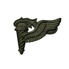 From Cow Pastures To Kosovo: SSG (p) Robert 