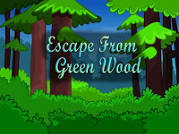 Top10NewGames - Top10 Escape From Green-Wood