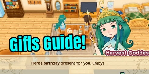 Villager Birthdays, Liked and Disliked Gifts - Story of Seasons: Friends of Mineral Town Guide