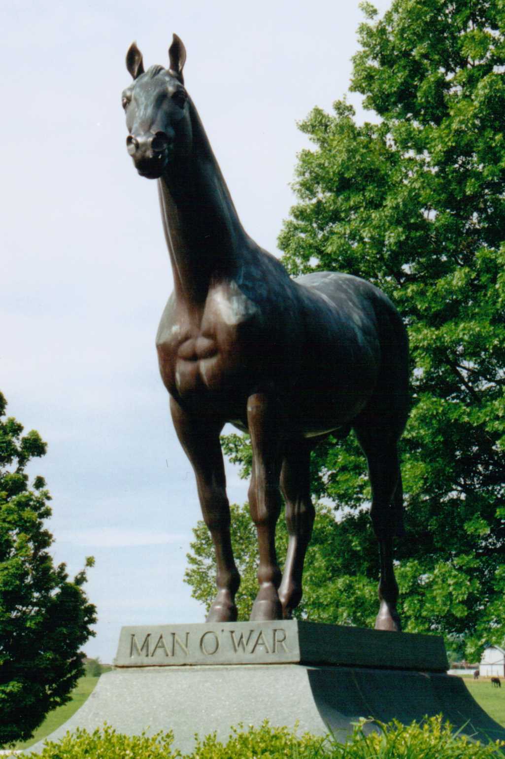 AT THE RAIL WITH NAGS AND WAGS: A SHORT STORY TRIBUTE TO PAST RACING HEROES