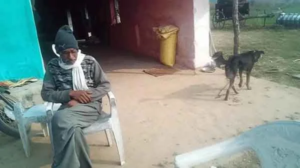 News, National, India, Madhya Pradesh, Bhoppal, Dog, Animals, Farmers, Finance, Upset with sons' behaviour, MP farmer gives half his property to his pet dog