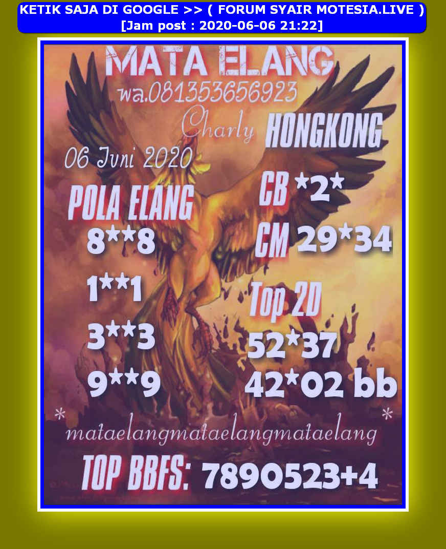 forum syair hk Meloditogel