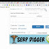 Serp Digger, The World's First Elastic Email Scraper