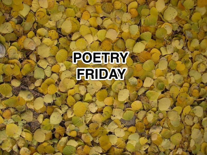 Teacherdance Poetry Friday Finally Featuring
