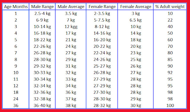 German Shepherd Dog Growth Chart