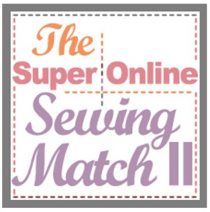 Sewing Contest Judge 2015