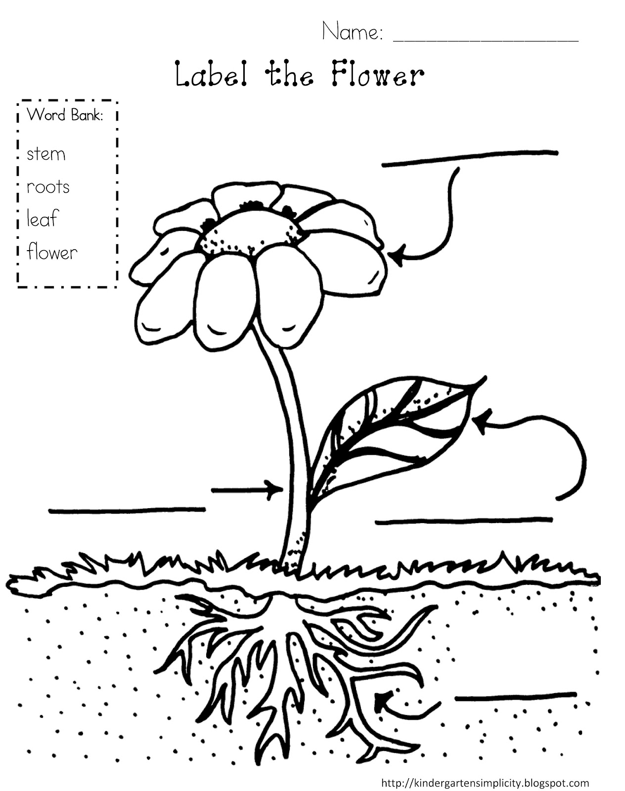 coloring pages seeds and plants - photo #12