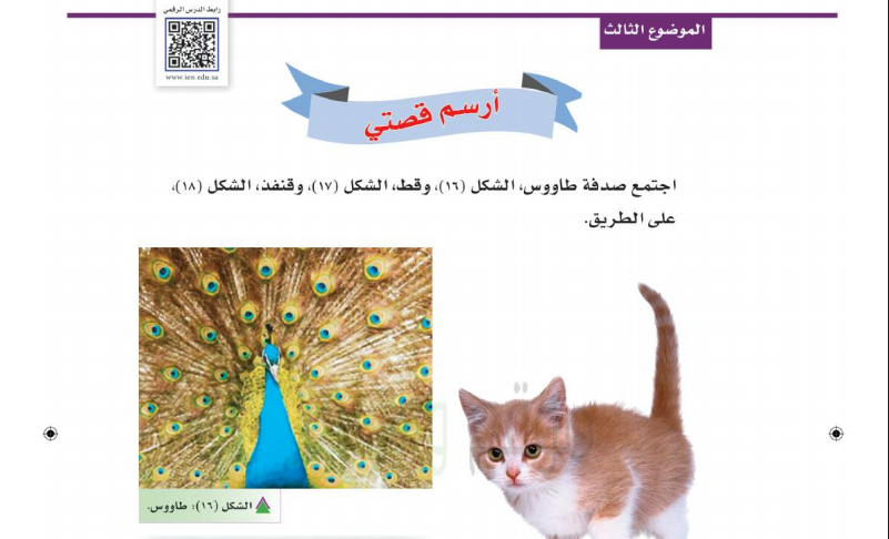 حل درس أرسم قصتي التربية الفنية للصف الأول ابتدائي