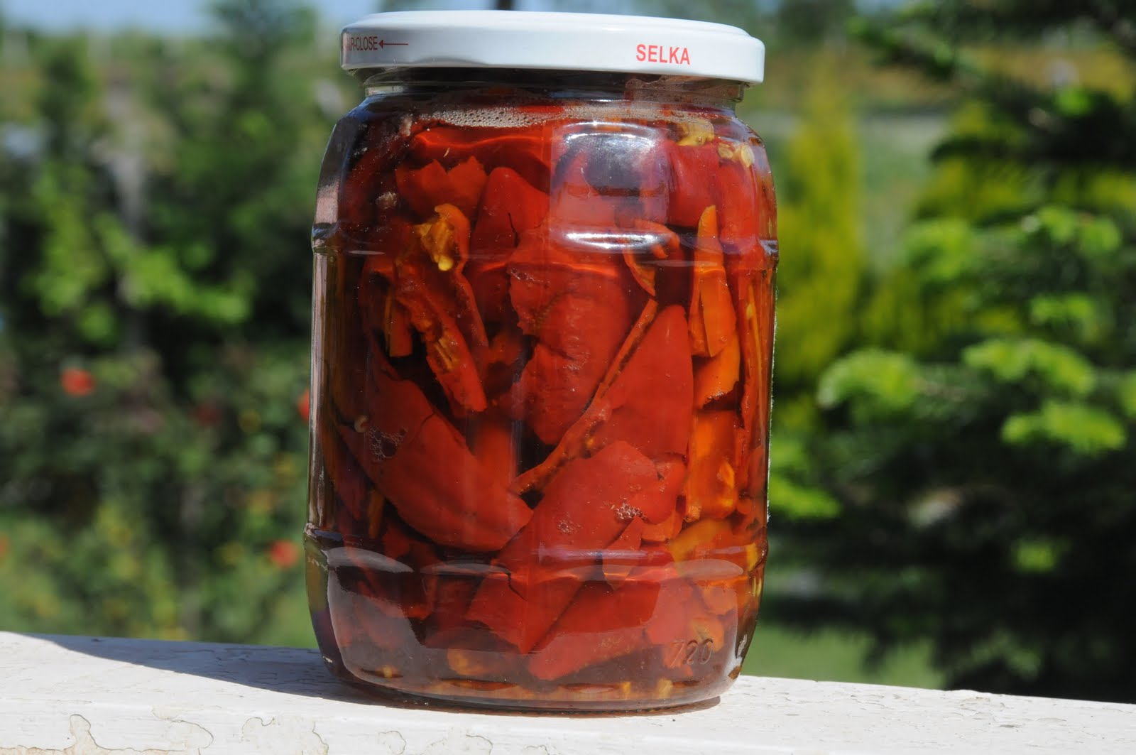 parslar BÖCEK ÖLDÜRME İLACI (İNSEKTİSİT)