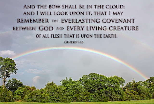 Image result for Genesis 9:16
