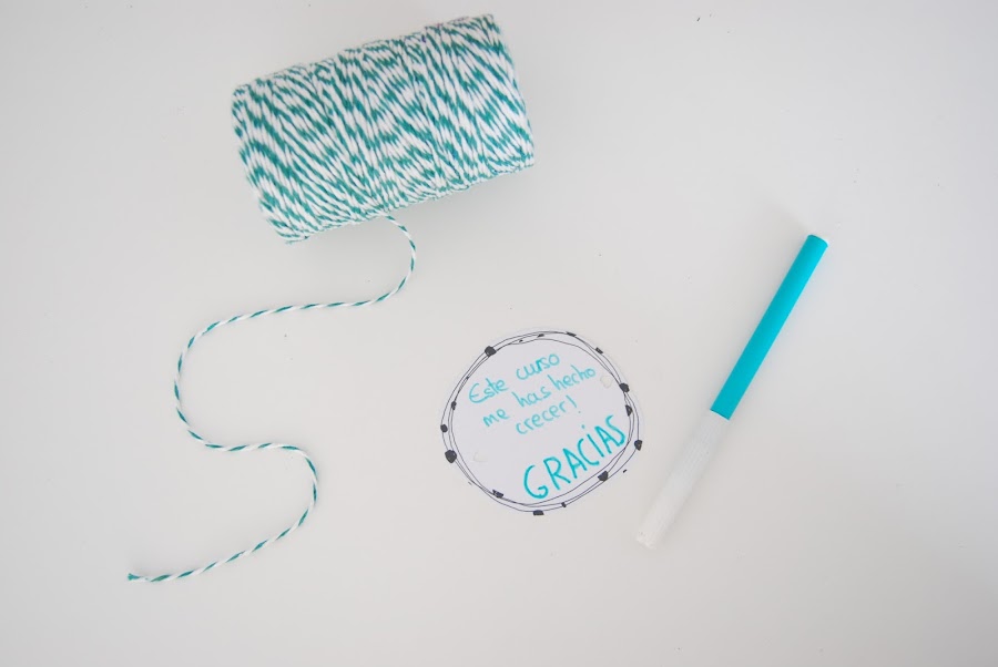 Pequeño huerto de aromáticas para hacer con niños y regalar