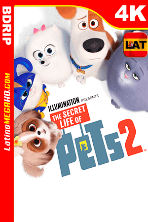 La Vida Secreta de tus Mascotas 2 (2019) Latino Ultra HD 4K BDRIP 2160P (2019)