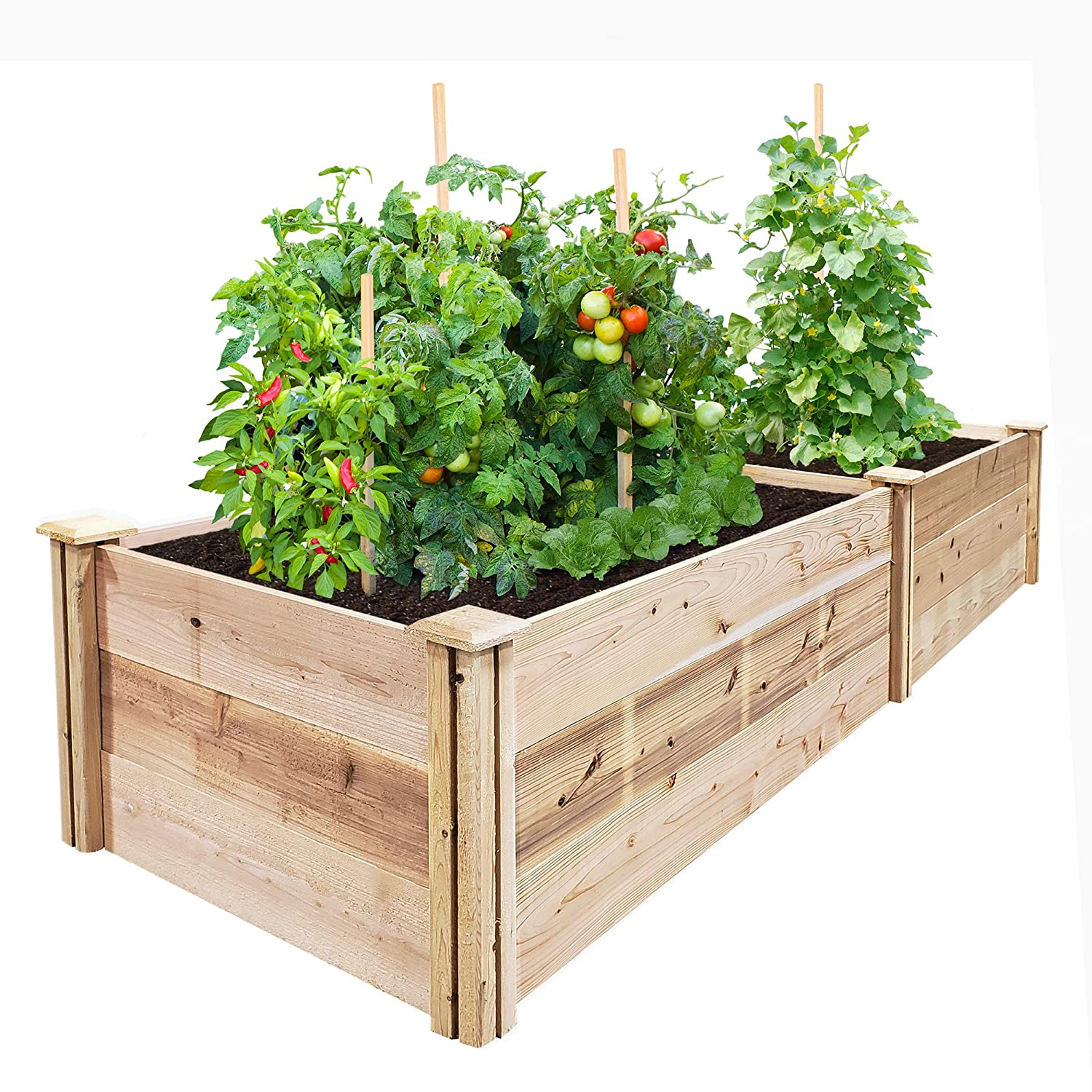 Cedar Raised Garden Beds Bathroom and Garden