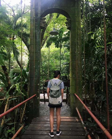 Laguna university picture