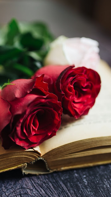 Books and flowers wallpaper