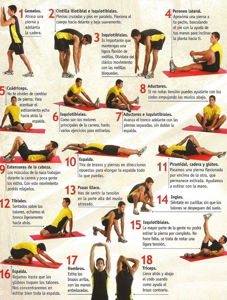 Fútbol, para entrenadores y jugadores ESTIRAMIENTOS