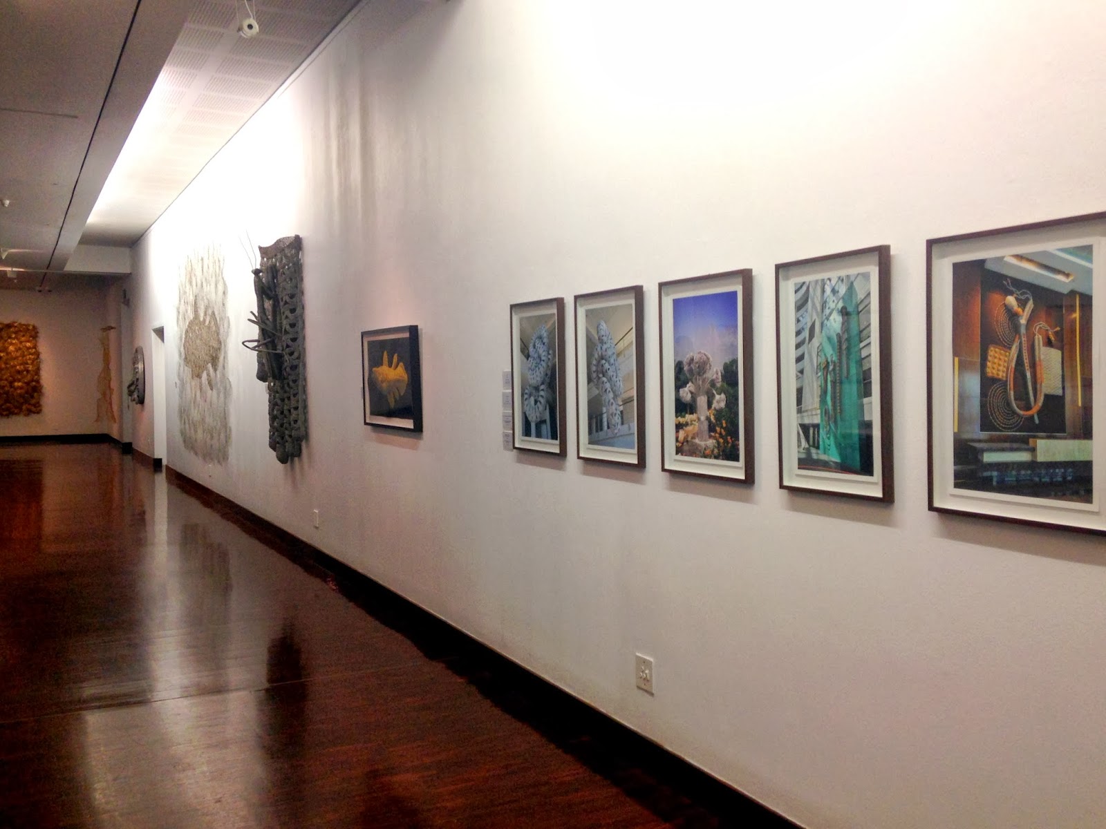 Drawing the Line Contemporary South African Art Museum February 2014