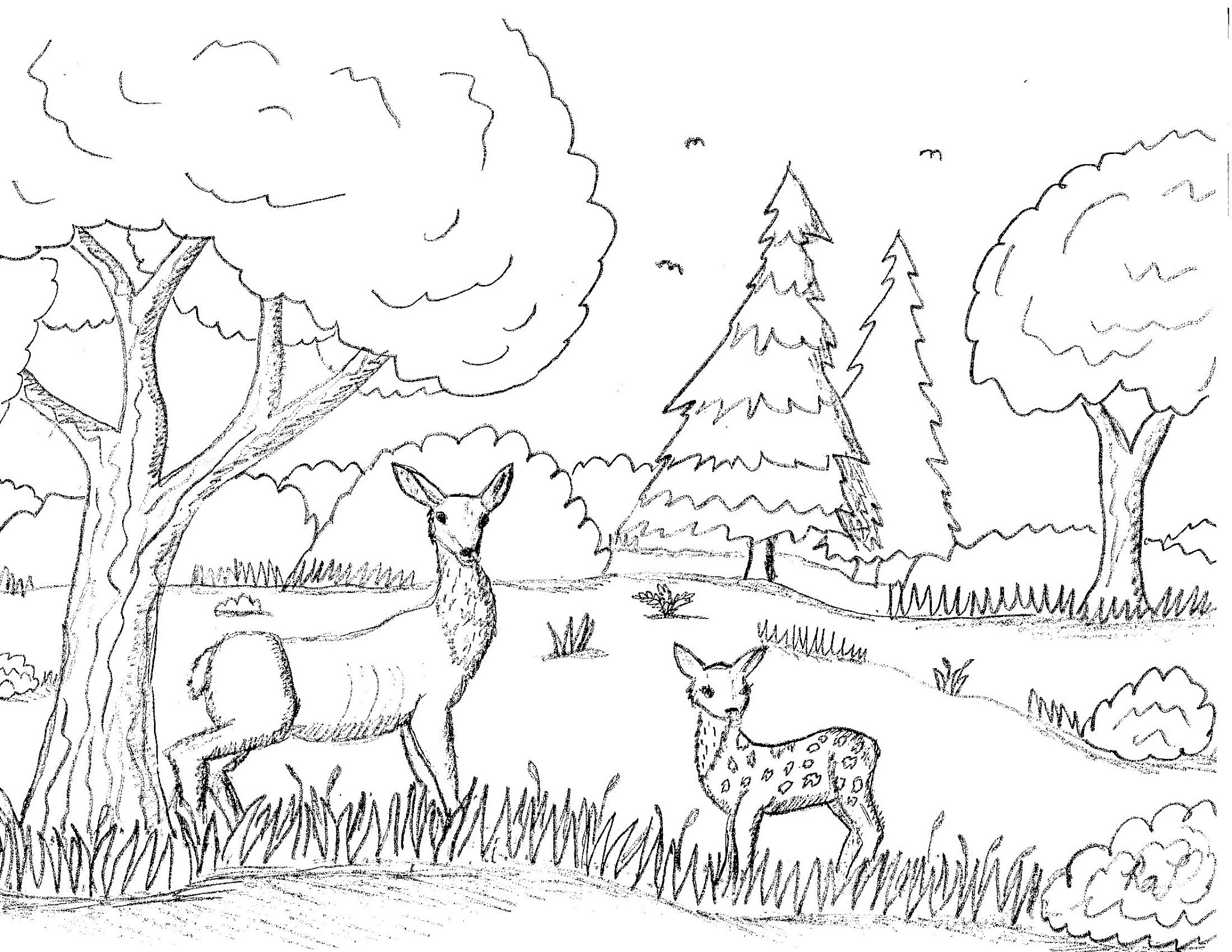Robin's Great Coloring Pages: November 2021
