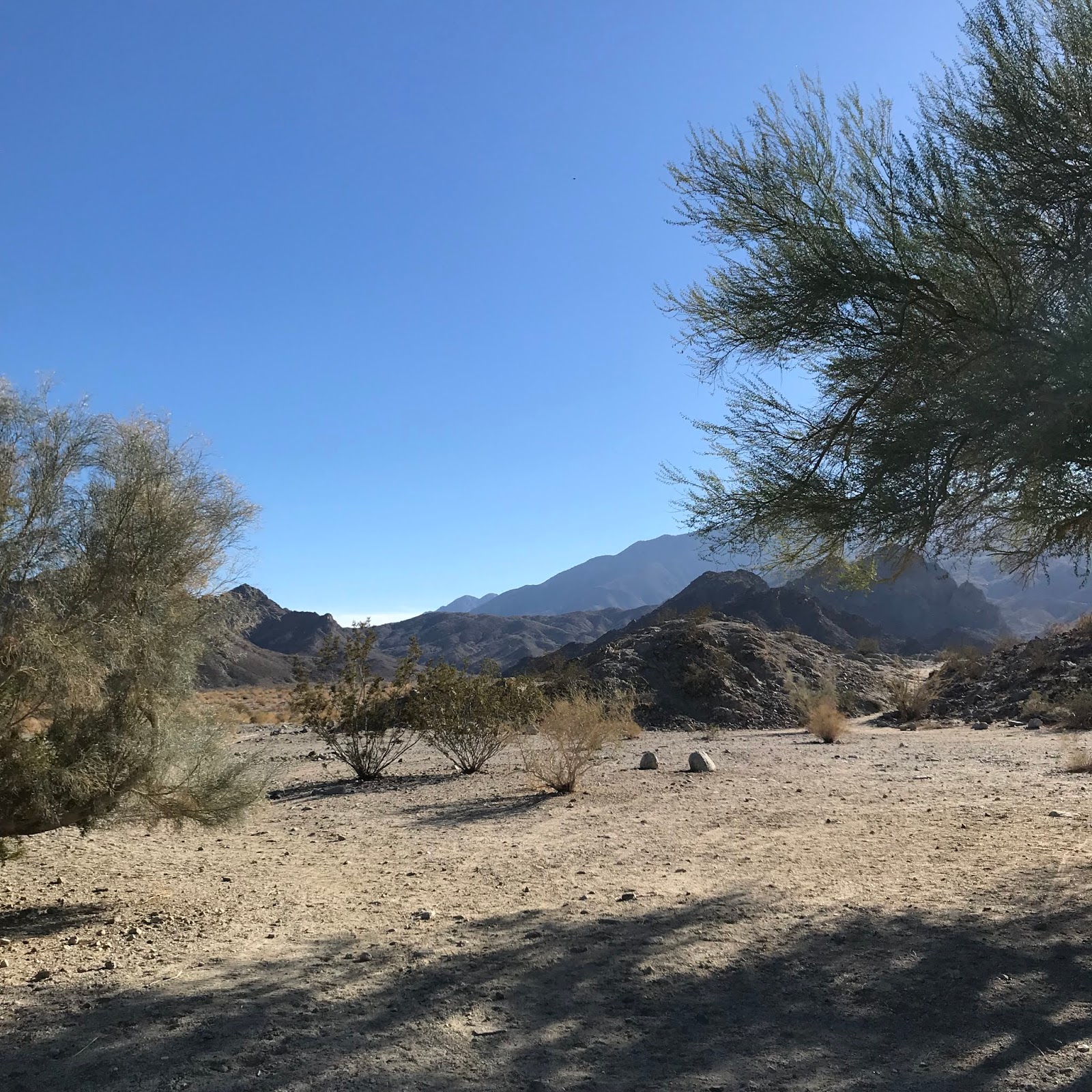 Cove Trails, La Quinta, CA November 2018
