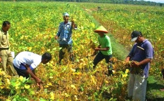 Ciri-ciri dan Contoh Sikap Wirausaha yang Sukses 6+ Ciri dan Contoh Sikap Wirausaha yang Sukses