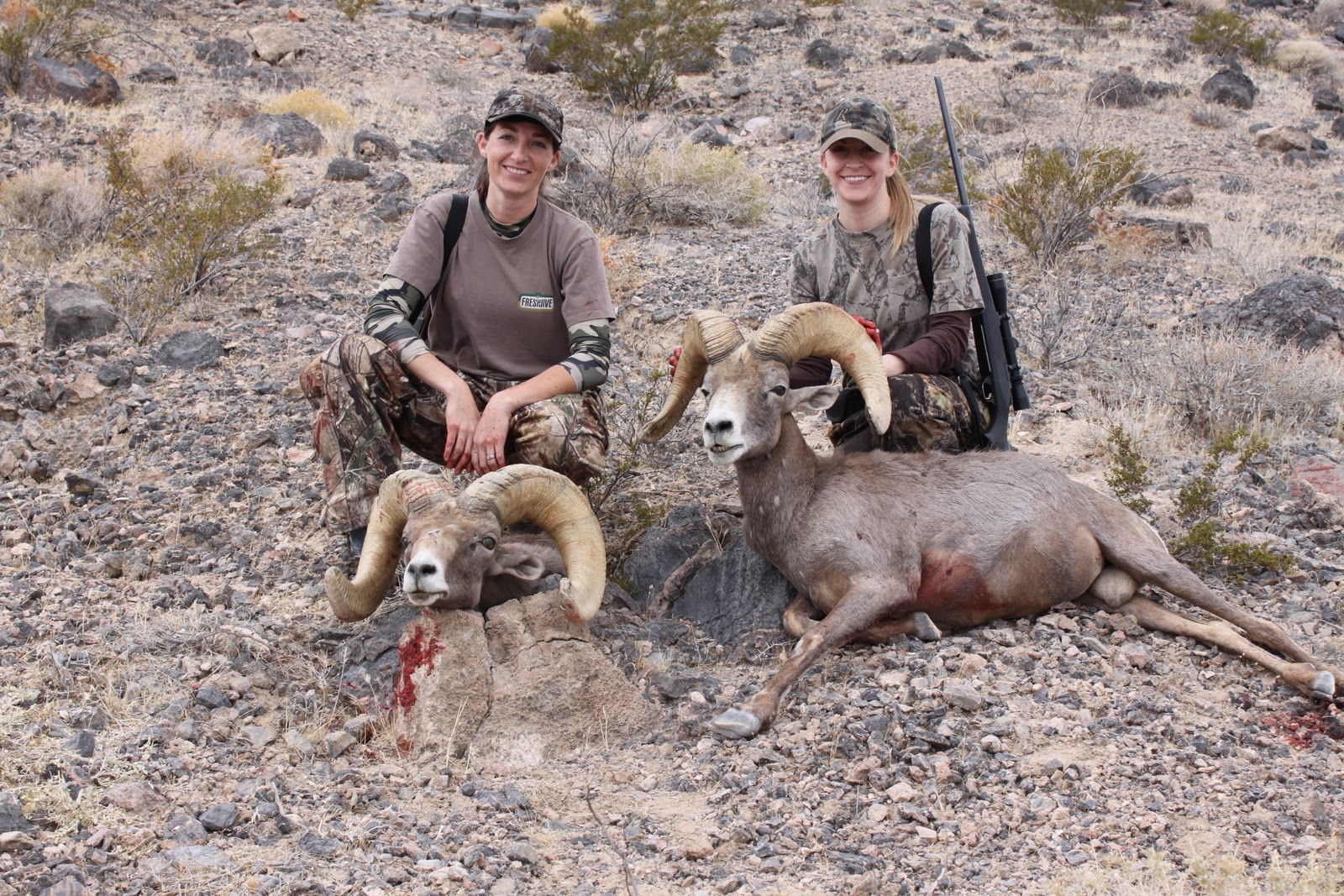 The Scenic Route: Bighorn Sheep Hunt 2011
